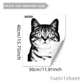 Detail view of realistic black and white cat wall sticker, dimensions 40x30cm adhesive decal - Cat Style (C18502) / 30*40cm