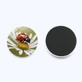 Ladybug and daisy crystal glass refrigerator magnet with flexible magnetic backing - Clear Ladybug Daisy Photo Style (JY9609-12)