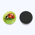 Round ladybug crystal glass fridge magnet with magnetic back for home decor - Red Ladybug Green Leaf Style (JY9609-10)