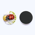 Macro detail of round ladybug daisy glass fridge magnet with soft magnetic backing - Cartoon Ladybug Daisy Illustration Style (JY9609-9)