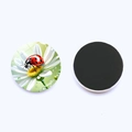 Round 25mm ladybug magnet with daisy design showing both sides on a white background - Waterdrop Ladybug Daisy Style (JY9609-8)
