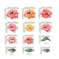Wandtattoo-Set mit 15 rosa Pfingstrosen und grünen Blättern in verschiedenen Größen - Pfingstrosen Blumen Set (MJ9002-YJ)