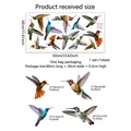 Size chart for colorful hummingbird window clings 60x30cm PVC double sided decals - 30*60cm