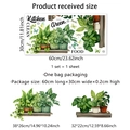Self-adhesive PVC kitchen wall stickers with green plants, butterflies, and Kitchen lettering - 30*60cm
