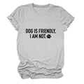 Close-up of gray cotton t-shirt with Dog Is Friendly I Am Not letter print and paw icon - Light Gray (Black Font)