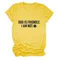 Detailed flat lay of yellow heather T-shirt with 'DOG IS FRIENDLY' print and crew neck - Yellow (Black Font)