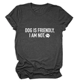 Detail of grey crewneck T-shirt showing Dog Is Friendly quote and paw print design - Heather Gray (White Font)