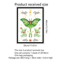 Wandtattoo mit Schmetterling und grünem Nachtfalter, Blumenmuster, Größe 30x40 cm - Luna Motte Mondphasen Stil (ATW4023-ZC) / 30*40cm