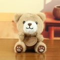 Adorable soft brown plush teddy bear keychain and bag charm with 'Bear' name tag - 13cm / Tag Style / Dark Brown