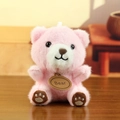 Schattige zachte roze pluche teddybeer sleutelhanger met bruin Bear-label voor tassen en meer - Roze