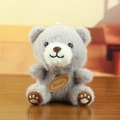 Schattige grijze pluche teddybeer sleutelhanger met decoratief 'Bear' label - Grijs