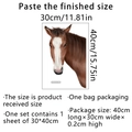 Detail showing self-adhesive brown horse portrait wall sticker with dimensions 30x40cm - 30*40cm