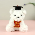 White teddy bear plush in graduation cap holding a lucky charm for exam success - White - Exam God Possession (01) / 12cm