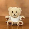 Cute plush teddy bear keychain pendant wearing a white t-shirt with foot embroidery - White