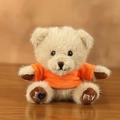 Adorable plush teddy bear keychain wearing a bright orange hoodie for bag decoration - Orange