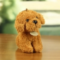 Portachiavi peluche cagnolino Teddy marrone riccio con etichetta Soft Toy su legno - Cuoio