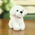 Portachiavi peluche cane bianco riccio con medaglia d'oro su base in legno naturale - Bianco