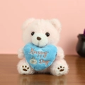 Pink plush teddy bear keychain holding a blue heart with Happy Day embroidery - Pink Heart