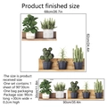 Green potted plants wall decal set with cactus and succulent designs for bedroom windows - Potted Plants and Butterflies Style B (MS377)