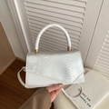 White color-block crossbody handbag with snakeskin pattern texture and gold hardware - White