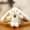 Plush white bunny doll with a Fashion tag and pink ribbon, soft toy for gifting - Rabbit