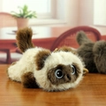 Close-up of a cute Siamese cat plush keychain with blue eyes on a wooden surface - Length 18cm / Siamese Cat