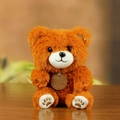 Cute sitting orange-brown teddy bear plush toy with gold embroidered paw pads on wood - Sitting Posture / Brown Bear