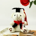 Ours en peluche diplômé blanc avec chapeau de docteur noir et gland rouge élégant - Blanc / Hauteur environ 12cm