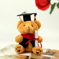 Porte-clés ours en peluche de remise des diplômes avec toge noire et mini-diplôme blanc - Marron / Hauteur environ 12cm