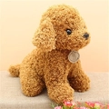 Peluche cane Teddy marrone riccio in morbida lana d'agnello con etichetta My Pet Store - Cuoio / Altezza circa 25cm