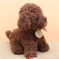 Peluche cagnolino Teddy marrone scuro con pelo riccio e targhetta rotonda - Marrone Scuro / Altezza circa 25cm