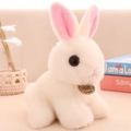 Cute white plush bunny toy with long ears and pink details in a cozy home setting - 20cm / White