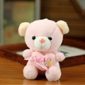 Rosa Plüschbär mit LOVE Herz und karierter Schleife als Varianten-Detailaufnahme - Rosa