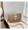 Detail shot of beige woven shoulder bag featuring an elegant gold metal clasp closure - Khaki