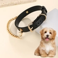 Collar de cuero negro ajustable para perros con cadena dorada y hebilla metálica - 42,4cm / Negro