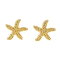 Detailopname van gouden zeester oorbellen met een gestructureerd oppervlak op wit - Goud