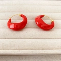 Macro-opname van onregelmatige rode emaille oorringen met vergulde metalen naalden - Rood