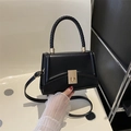 Structured black handbag with woven handle and gold metal lock on a hand - Black