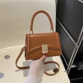 Brown leather crossbody bag with woven handle and gold metal twist lock closure - Brown