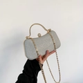 Elegante pochette da sera con paillettes argento con manico dorato e chiusura di strass - Argento