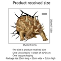 Dettaglio adesivo murale 3D ankylosaurus con dimensioni 30x35cm e texture - Stile Ankylosaurus (MS4269C)