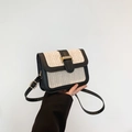 Chic contrast small square woven bag with black leather frame and gold metal buckle - Black