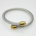 Detailed macro of twisted steel rope cable bracelet with polished gold cylinder end caps - Gold and Steel