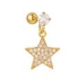 Dettaglio dell'orecchino a stella dorata con zircone rotondo e chiusura a vite - Stile Stella Pavé Dorato (EGD1140)