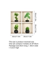 Dimensiones detalladas del pack de 4 pegatinas de pared plantas 3D de 30x30cm - Combinación de Varias Plantas Verdes / Cuatro Hojas