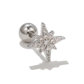 Clou d'oreille étoile classique en argent avec zircons et fermoir à boule - Style Hexagramme (EGD0642) / Argenté