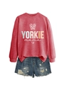 Detail eines Yorkie Mama Grafik-Sweatshirts kombiniert mit Used-Look Denim-Shorts auf weiß - S / Rotes Sweatshirt (Weiße Schrift)