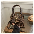 Dettaglio della borsa leopardata con logo dorato e nappa metallica in primo piano - Marrone