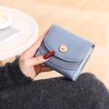 Detailaufnahme eines hellblauen Damen-Kompaktportemonnaies mit Goldschnalle und grauen Details - Himmelblau