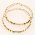 Chic golden hoop earrings featuring intricate beaded texture and a classic clasp design - Coffee